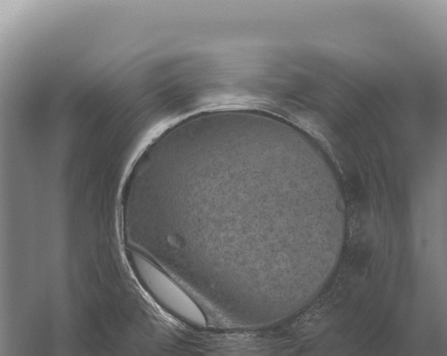 X0000059841472200510281811