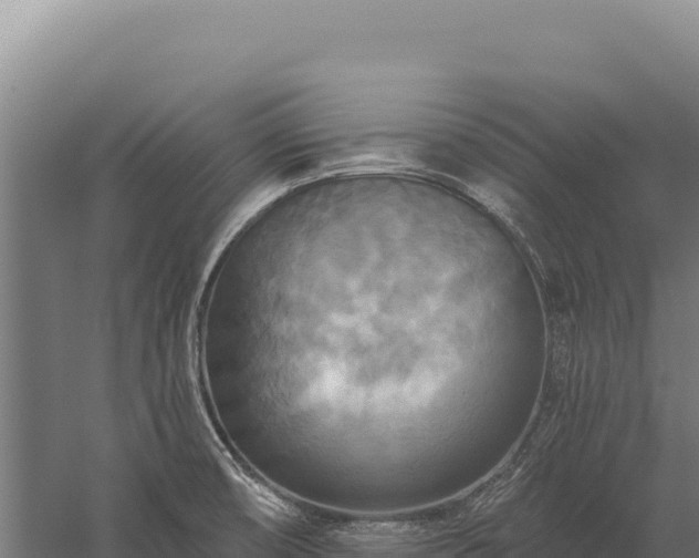 X0000059841474200510281811