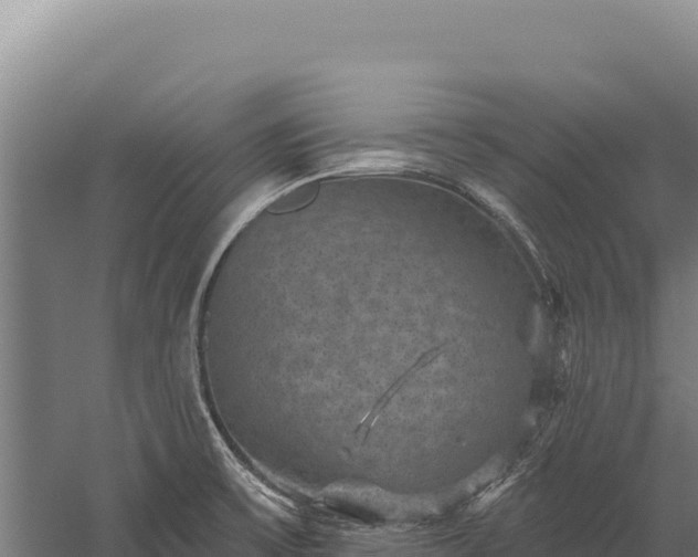 X0000059841475200510281811