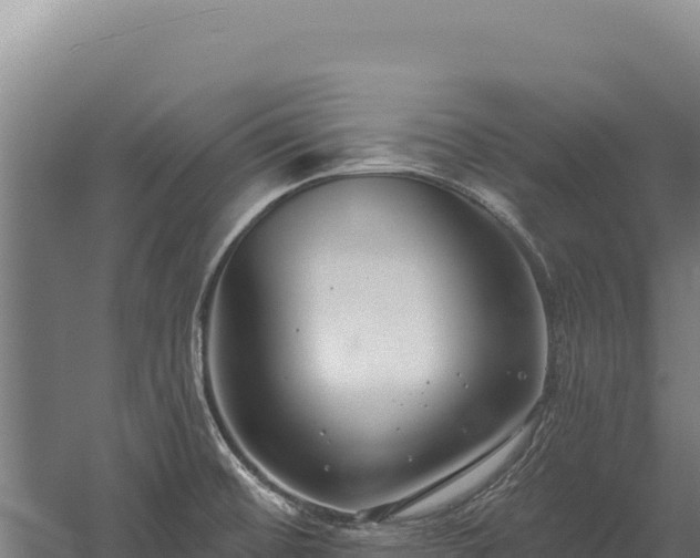 X0000059841476200510281811