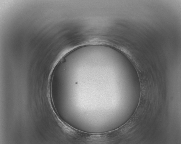 X0000059841478200510281811