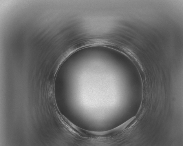 X0000059841481200510281811