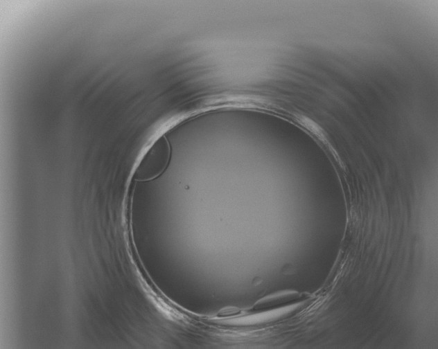 X0000059841482200510281811