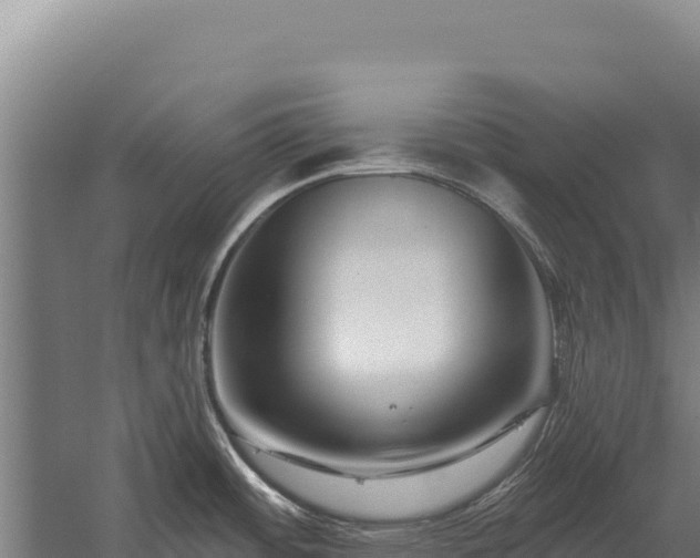 X0000059841484200510281811