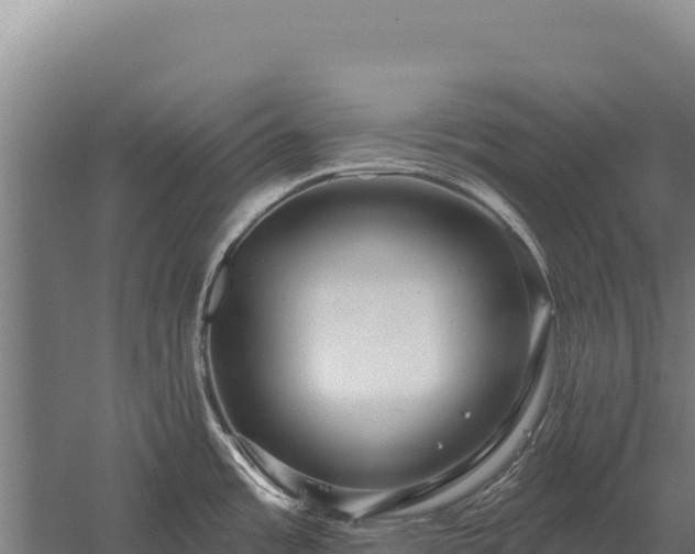 X0000059841485200510281811