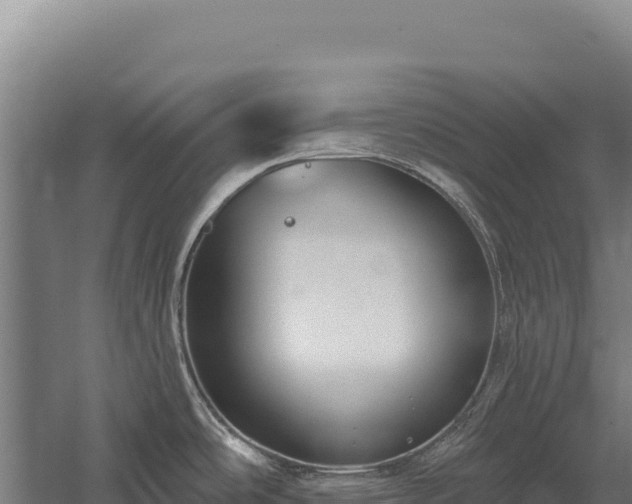 X0000059841486200510281811