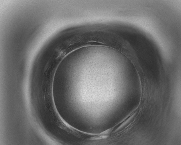 X0000059841487200510281811