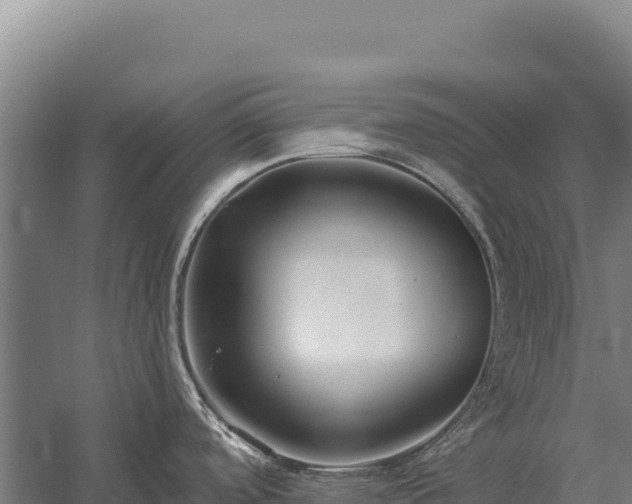 X0000059841488200510281811