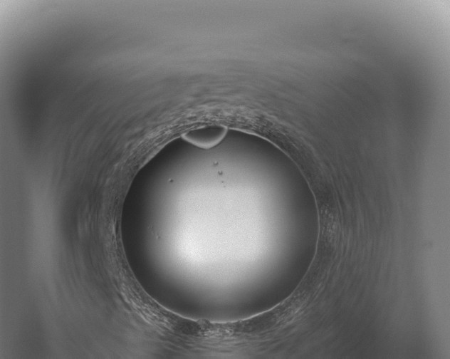 X0000059841489200510281810