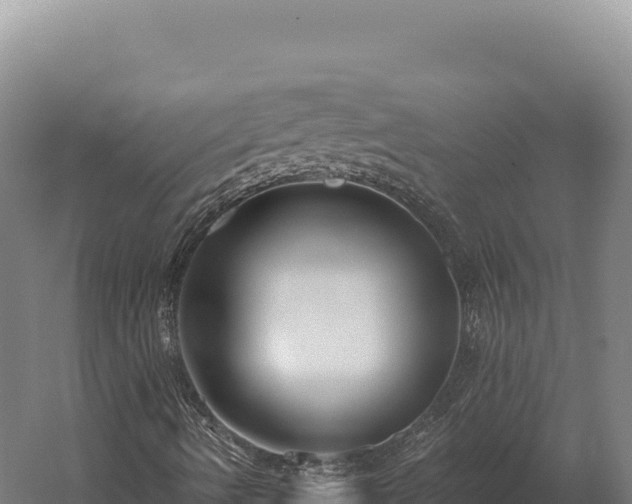 X0000059841490200510281810