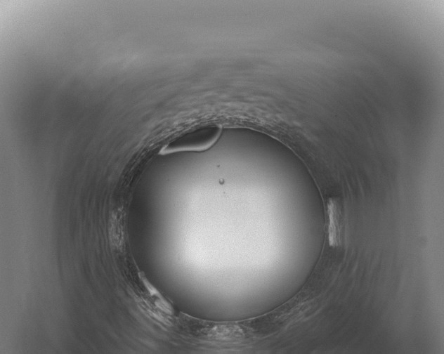 X0000059841491200510281810