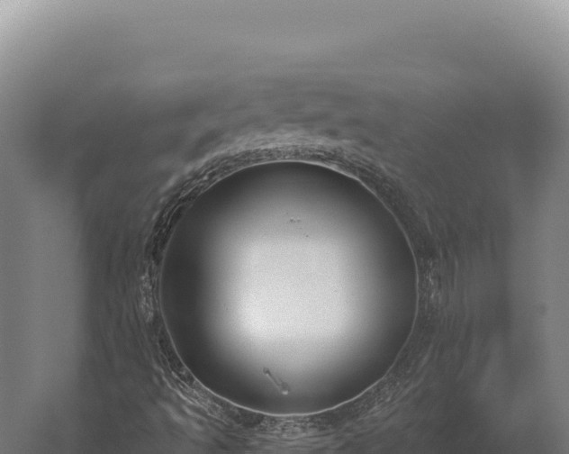 X0000059841493200510281810