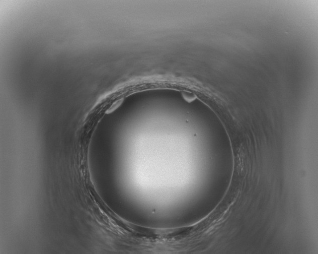 X0000059841494200510281810