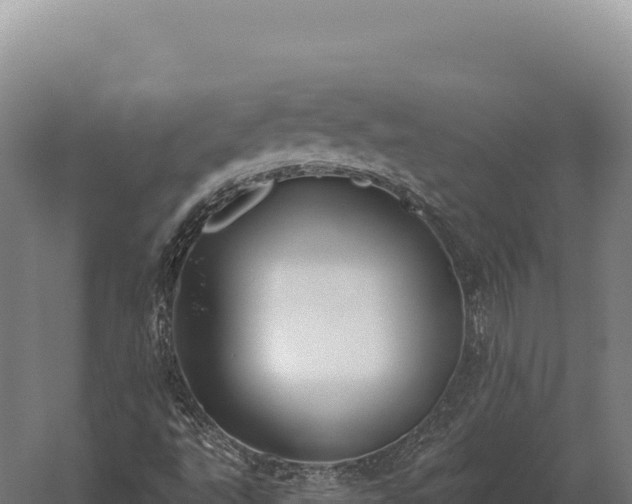 X0000059841495200510281810