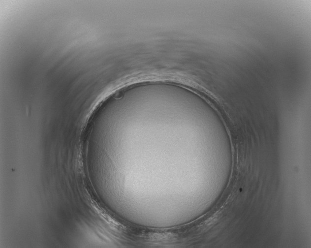 X0000059841498200510281810