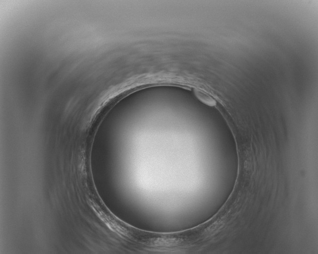 X0000059841499200510281810