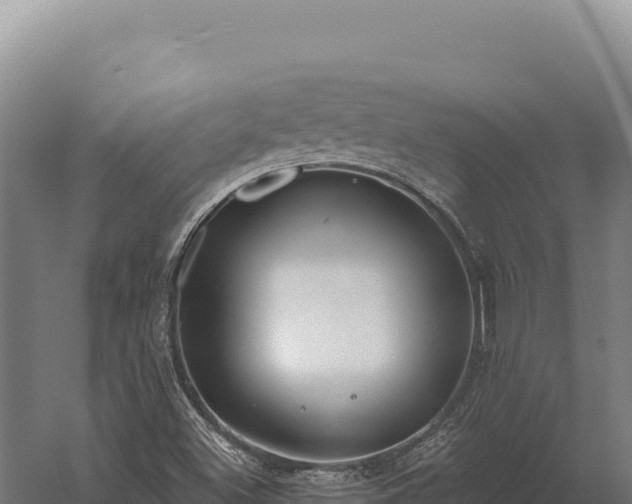 X0000059841500200510281810