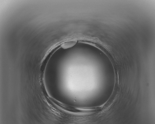 X0000059841501200510281810