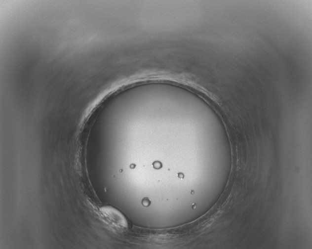 X0000059841502200510281810