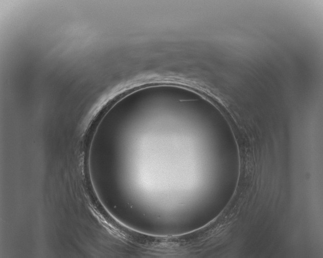 X0000059841503200510281810