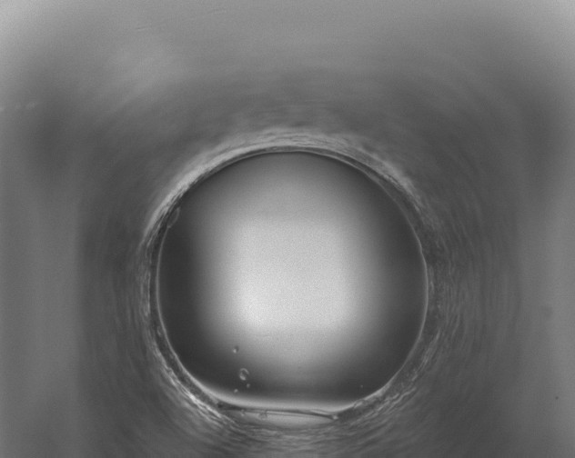 X0000059841504200510281810