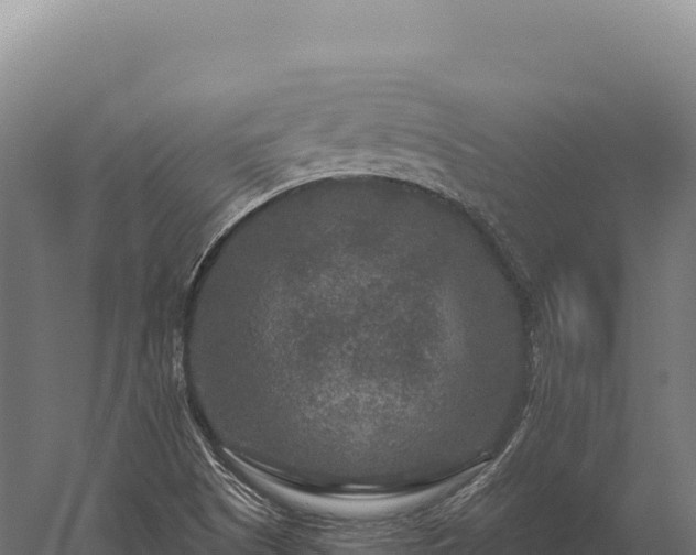 X0000059841505200510281810