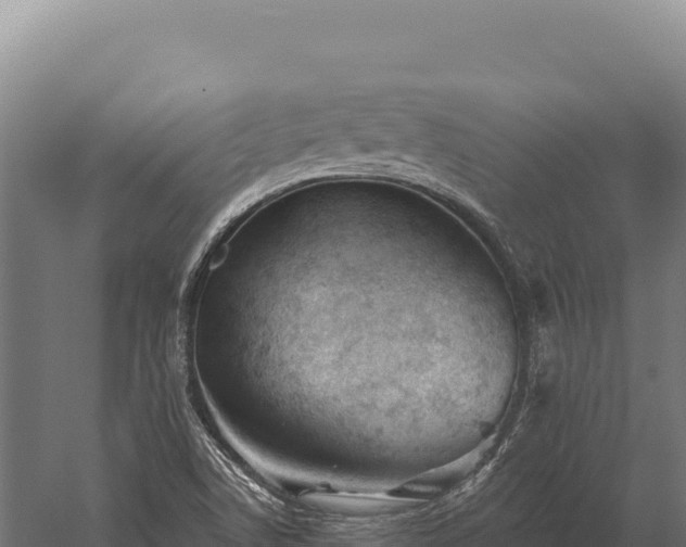 X0000059841506200510281810