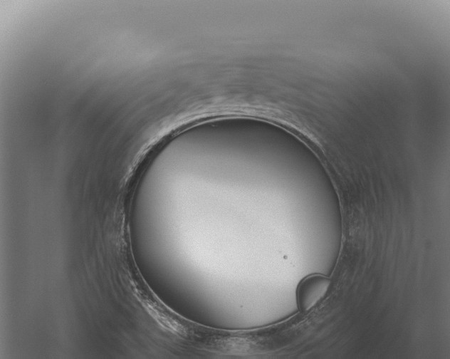 X0000059841507200510281810