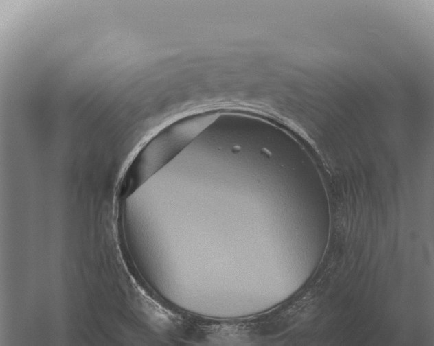 X0000059841508200510281810