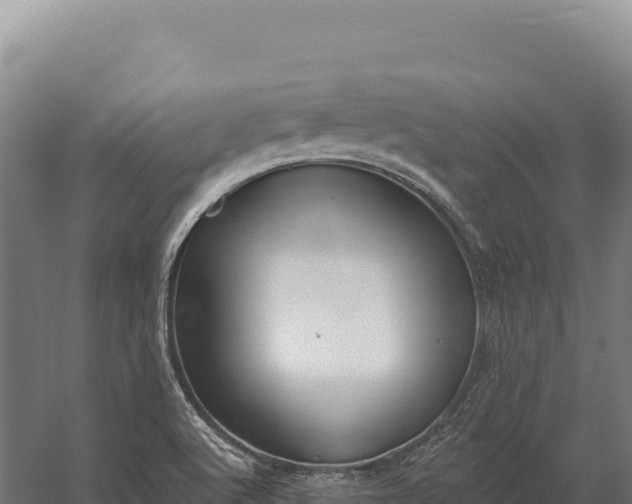 X0000059841512200510281811