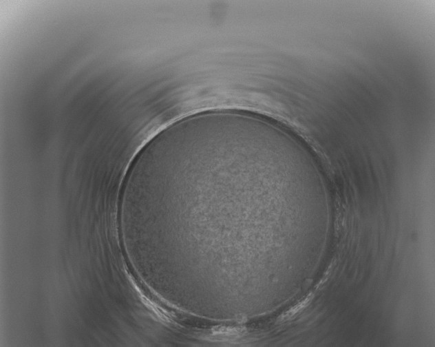 X0000059841513200510281811