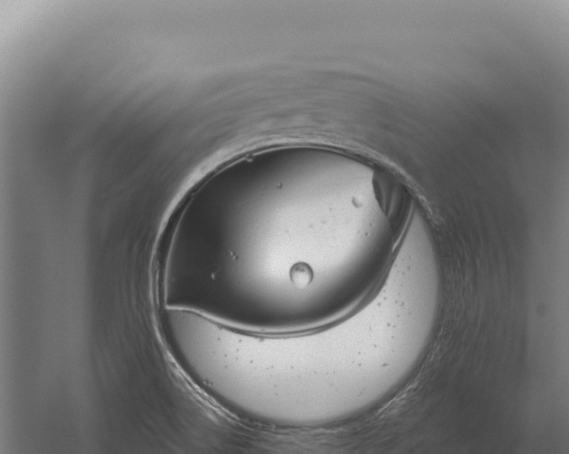 X0000059841514200510281811