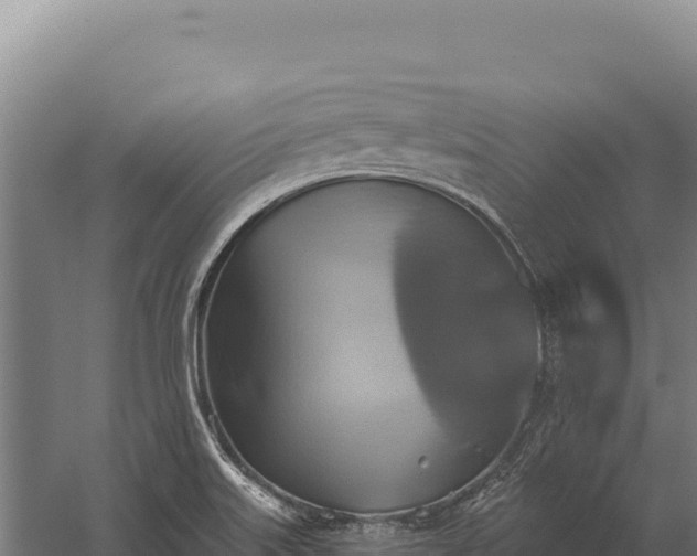 X0000059841515200510281811