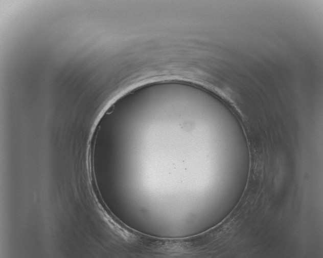 X0000059841516200510281811