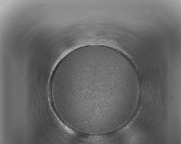 X0000059841517200510281811