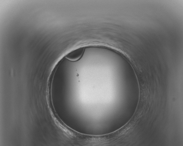 X0000059841518200510281811