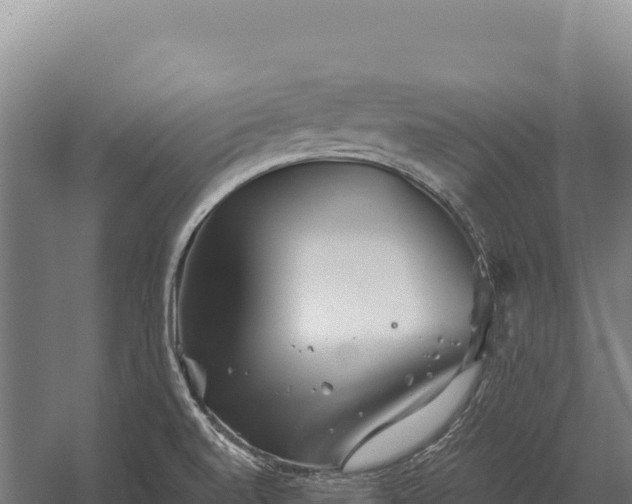 X0000059841520200510281811