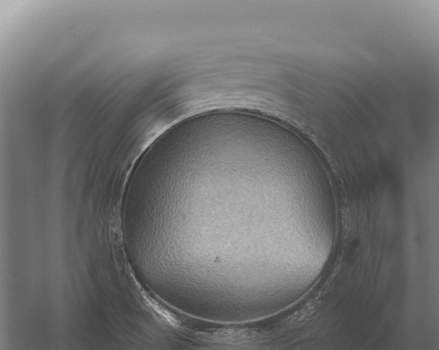 X0000059841521200510281811