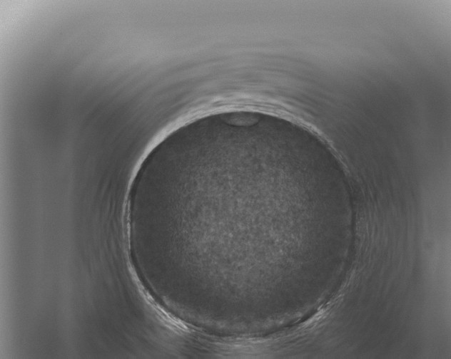 X0000059841522200510281811