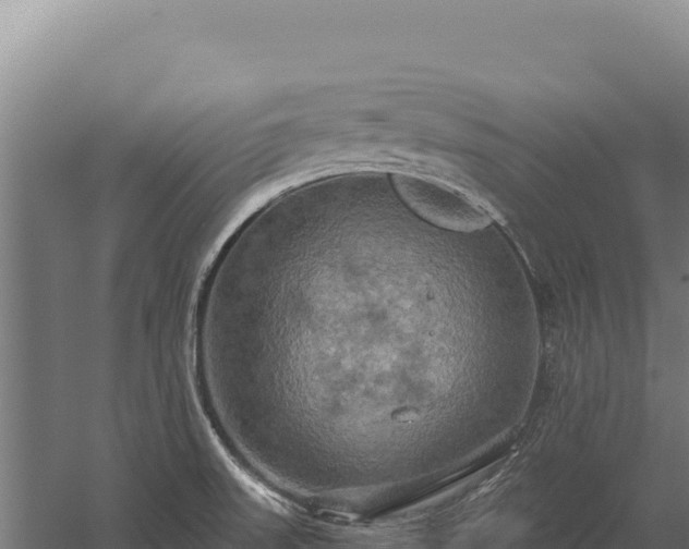 X0000059841523200510281811