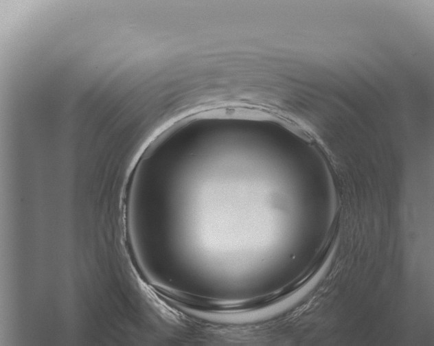 X0000059841524200510281811