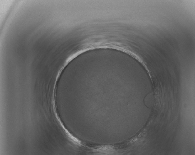 X0000059841525200510281811