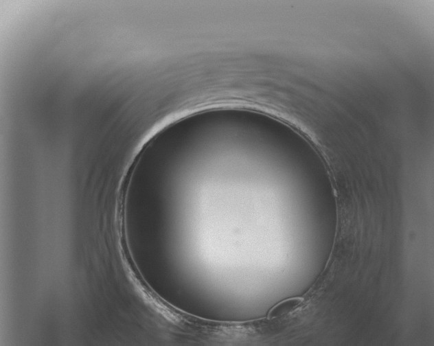 X0000059841526200510281811