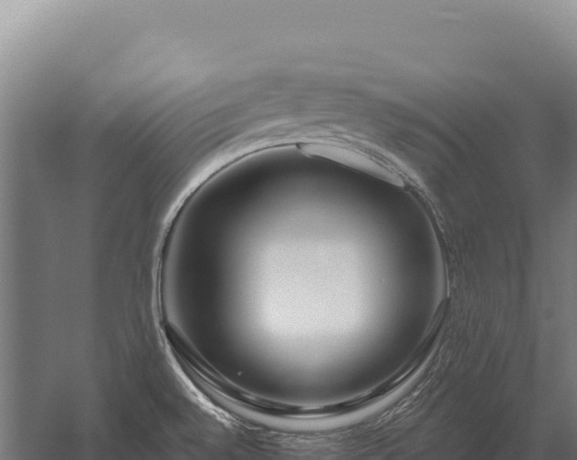 X0000059841528200510281811