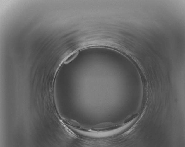 X0000059841529200510281811