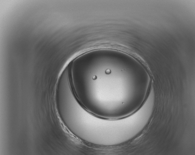 X0000059841530200510281811