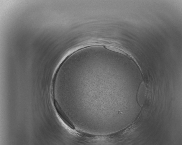 X0000059841531200510281811