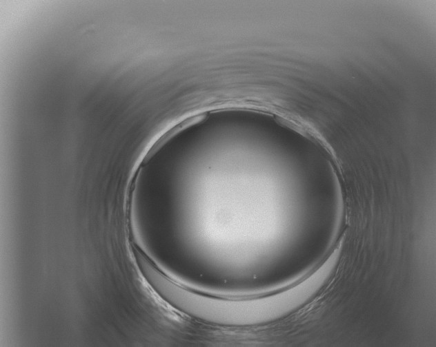 X0000059841532200510281811