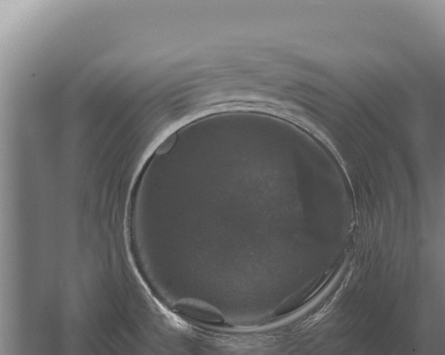 X0000059841533200510281811