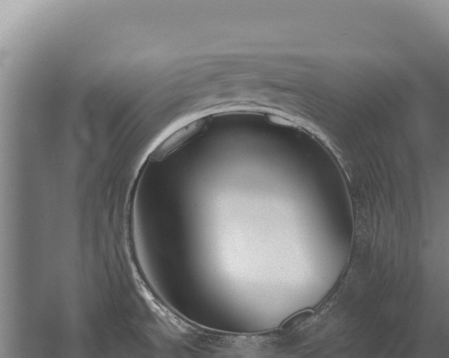 X0000059841534200510281811